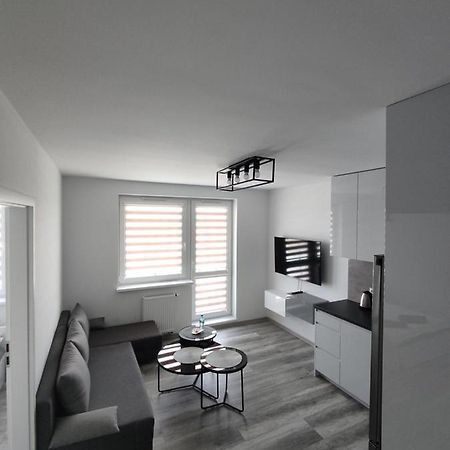 N° 59 Daire Płock Dış mekan fotoğraf
